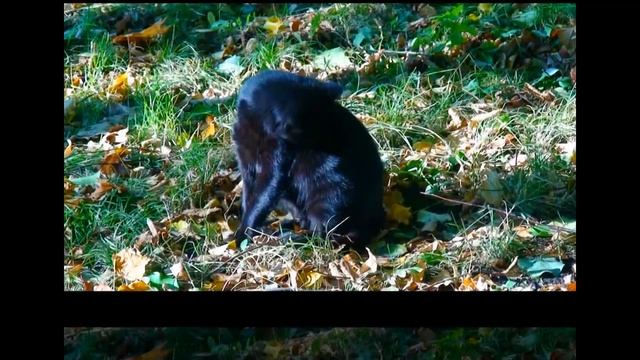 Требуем продолжения бабьего лета! смотреть онлайн