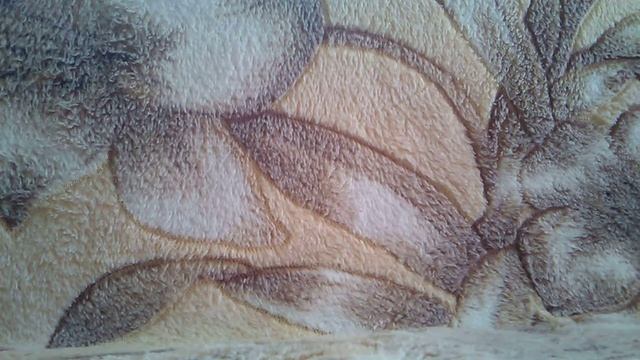 Обзор на Вайс леопарда и Ацкай саламандры смотреть онлайн