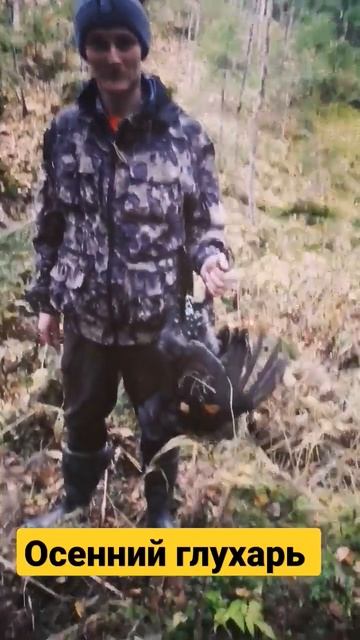 Добыли ГЛУХАРЯ! Осенняя охота/Архангельская обл.