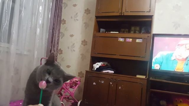 😂😂😂😂😂Липкий чупик😂😂