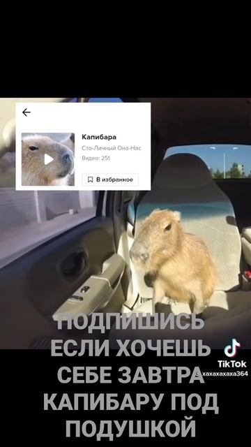 ЕСЛИ ХОЧЕШЬ КАПИБАРУ СДЕЛАЙ ЭТО 😊 смотреть онлайн