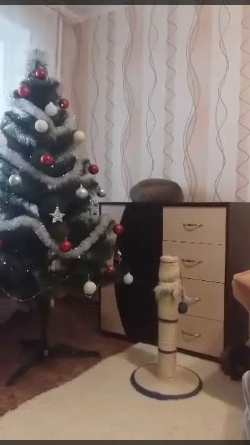 Mishel's New Year ) / Новый Год кота Мишеля смотреть онлайн