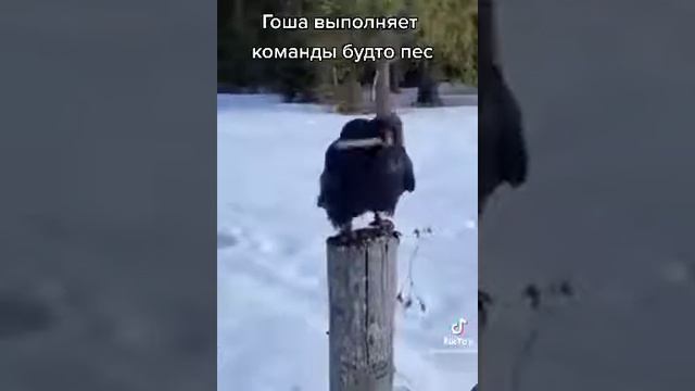31 января 2023 г.