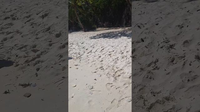 эль нидотур Д. обед на пляже смотреть онлайн