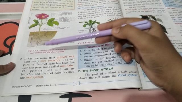 class -6 "biology" chapter-1 "The Leaf 🍀" 😁😁 смотреть онлайн
