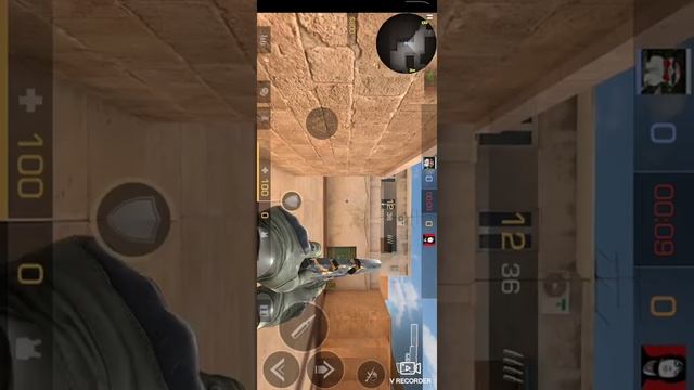 хорёк и тополь в деле смотреть онлайн