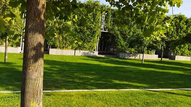 аллея парка Г смотреть онлайн