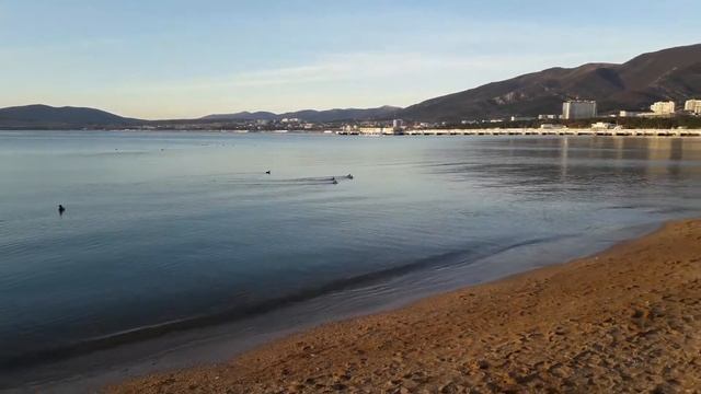 10.01.18 Геленджик смотреть онлайн