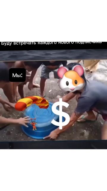 Хомяк раздал дроп!!! #hamsterkombat #хомяк #memes #крипта #мем #жиза