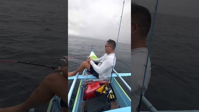 how to retrieve a ruby snapper using a slow pitch jig set? смотреть онлайн