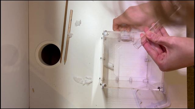 Pheidole Noda unboxing ( almost a disaster) смотреть онлайн