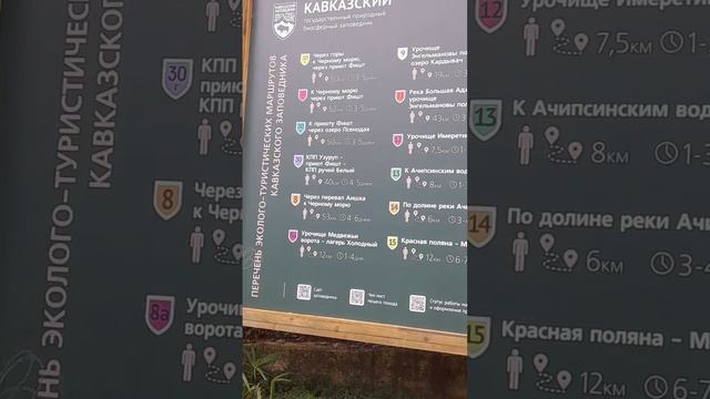 Тисо-Самшитовая роща, маршруты смотреть онлайн