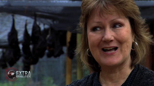 Extra Minutes | 'Australian Rabies | Interview with Louise Saunders - Bat Conservation and Rescue. смотреть онлайн