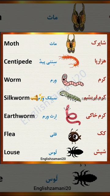 Learningenglish #short #vocabulary #ielts #explore