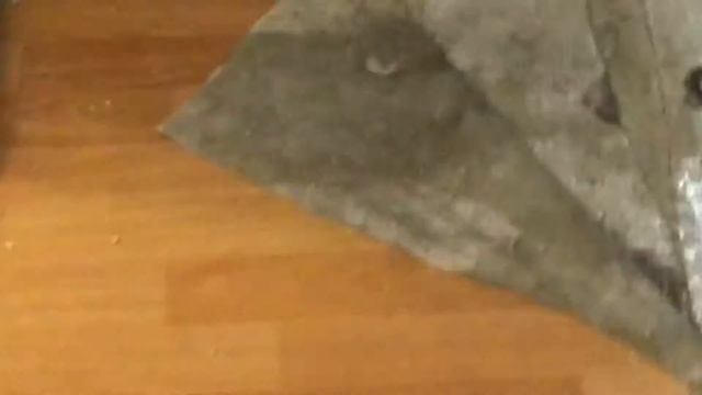 Кошка украла чупа-чупс! смотреть онлайн