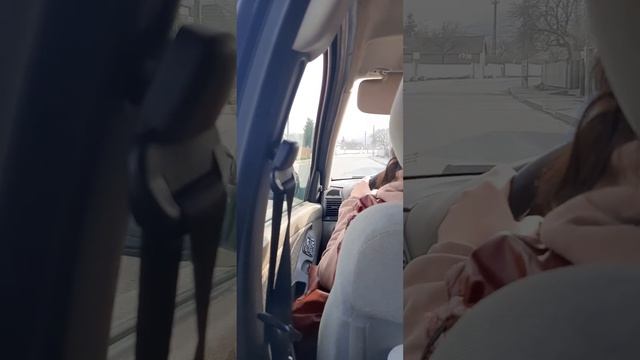 ЕДЕМ В БУХАРЕСТ ( не отдыхали сразу поехали) смотреть онлайн