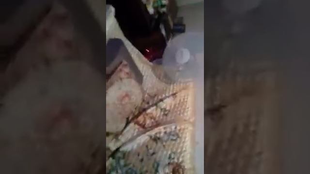 Мой братан тигр мой братан тигр мой братан тигр мой братан тигр мой братан тигр смотреть онлайн