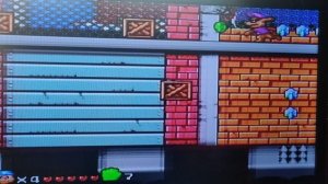 Чип и Дейл Сега