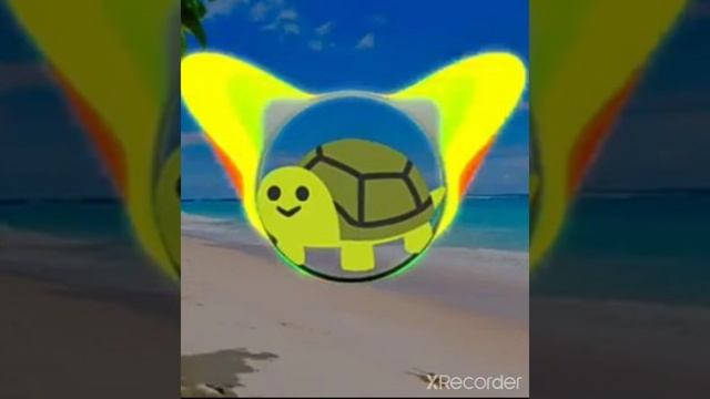 клип морская черепашка