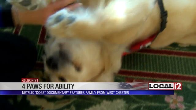 Netflix show raises awareness for local family in need of service dog смотреть онлайн
