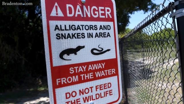 New alligator warning signs near dog park смотреть онлайн