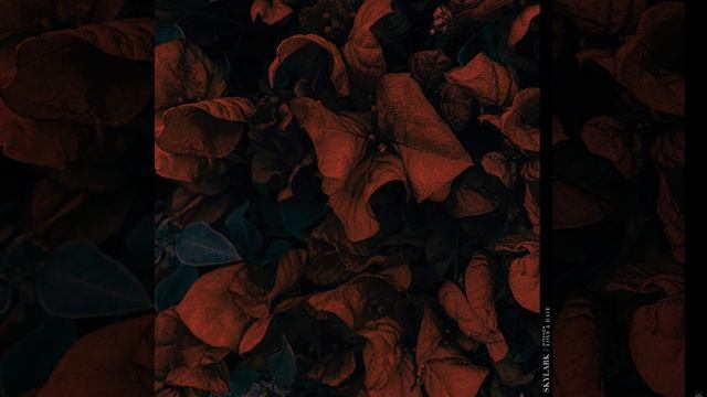 Neons (Digital Exclusive) смотреть онлайн
