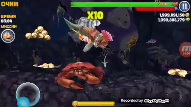 Это просто сумасшедшие акулы!!!!