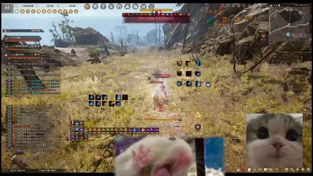 BDO field PVP # 84 смотреть онлайн