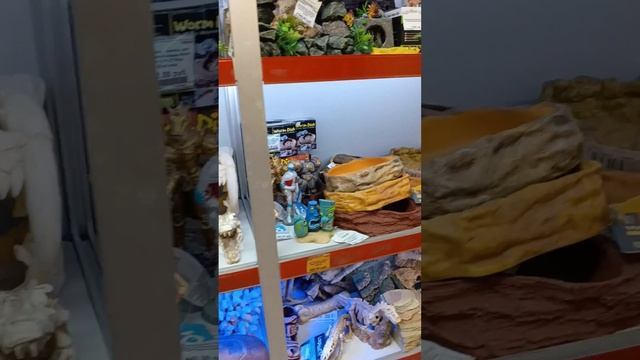 опять в зоомагазине! зоомагазин "Немо" адрес: Проспекте Мира. Большой осортимент товаров для живот смотреть онлайн