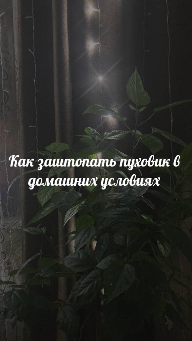 Как заштопать пуховик в домашних условиях