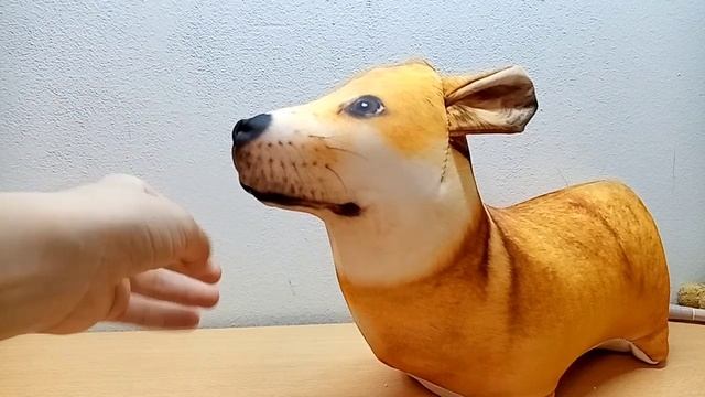Распаковка корги! (без сценария как всегда) смотреть онлайн