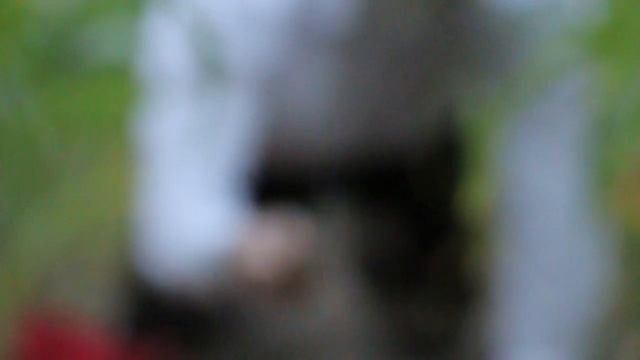 Febueder - Animation (Official Video) смотреть онлайн