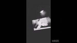фиолетовый гопник шкатулка с бухлом переозвучка Лунтик шкатулка