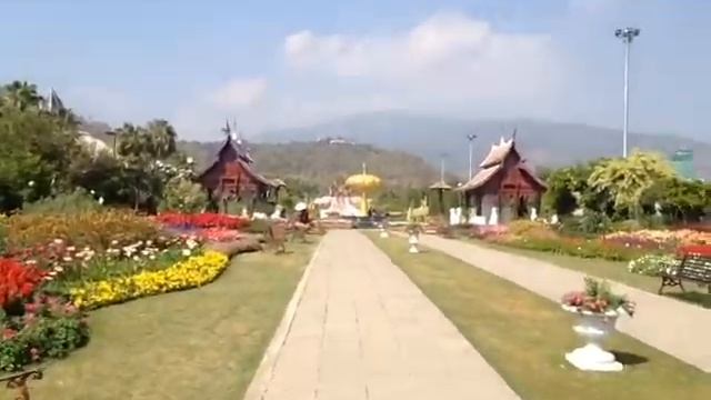 Chiang Mai Flower Park Thailand 1 смотреть онлайн