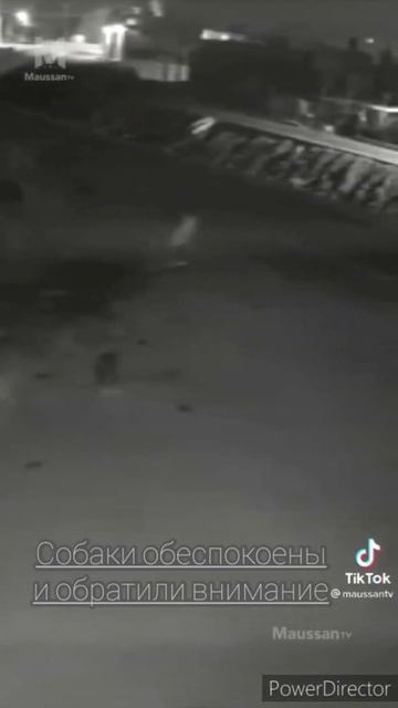 Иногда собаки лают по ночам не просто так | #демон #шайтан #shorts смотреть онлайн