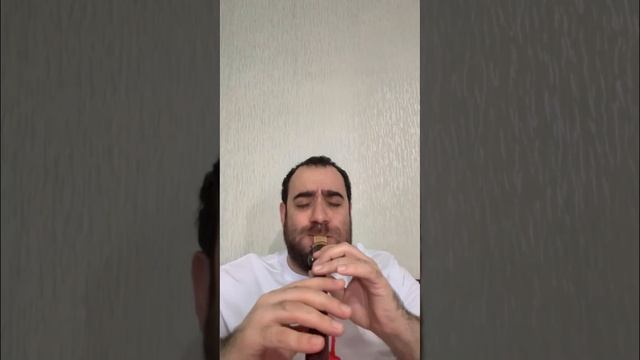 Tigran Shageldyan /duduk/- Dardis darman areq смотреть онлайн