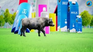 Cow Tiger Mammoth Elephant Gorilla Lion vs Dinosaur Fight Guess The Right Milk Animal Game Video