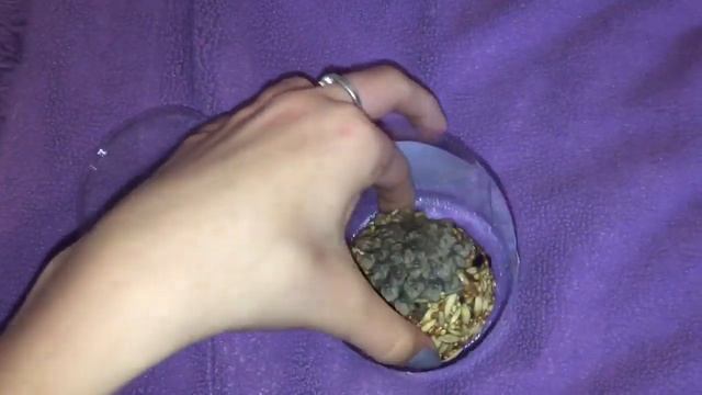 Покупки из зоомагазина смотреть онлайн