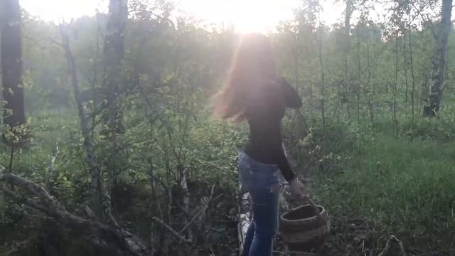 Как мы ходили за грибами в Орехово-Зуево смотреть онлайн