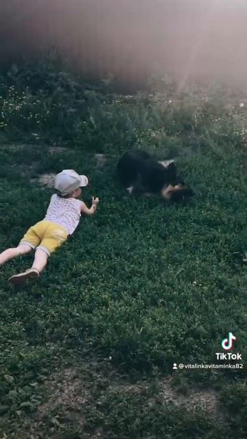 Собака друг человека! смотреть онлайн