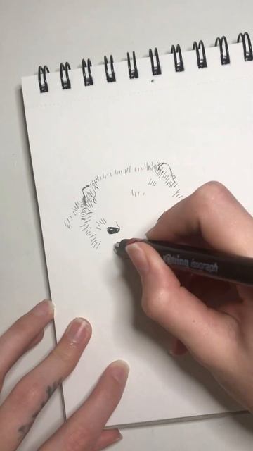 Хорёк с колбасой #набросок