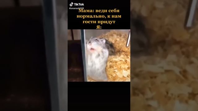 Тик ток, Часть 1 смотреть онлайн