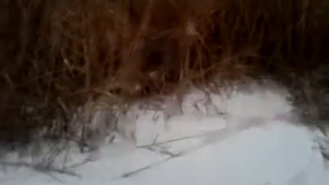 Владик на мото(НОВОЛАБА) смотреть онлайн