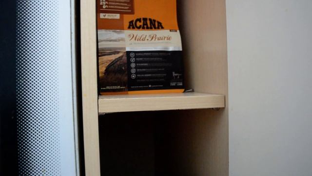 ПОКУПКИ ДЛЯ КОТА/ПОКУПКИ ИЗ ЗООМАГАЗИНА/ПОКУПКИ#3/ВСЕ ВЕЩИ КОТА