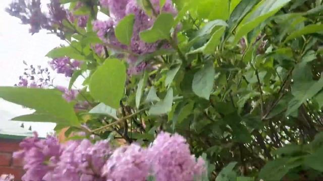 14 июня 2023 г. смотреть онлайн