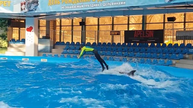 Алматинский дельфинарий (Nemo). смотреть онлайн