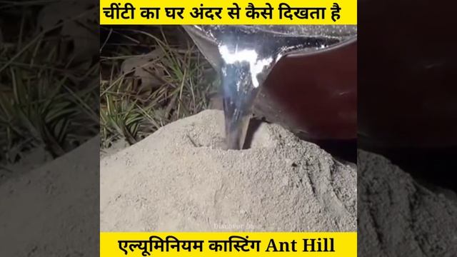 चींटी का घर अंदर से कैसे दिखता है After एल्यूमिनियम कास्टिंग Ant Hill #shorts by sudeep смотреть онлайн