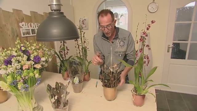 Hakbijl bij Robs Grote Tuinverbouwing aflevering 11 смотреть онлайн