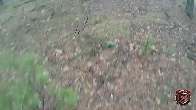 Ты поднял руку. смотреть онлайн