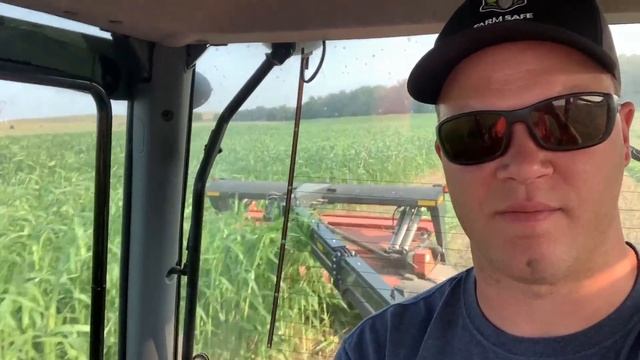 It's MOW TIME! смотреть онлайн